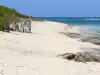 Plages de la Guadeloupe - Plage de l'anse Feuillard, sur l'île de Marie-Galante : sable blanc et lagon turquoise