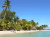 Plages de la Guadeloupe - Plage de la Caravelle, sur l'île de la Grande-Terre, dans la commune de Sainte-Anne : détente sur la plage de sable bordée de cocotiers et baignade dans le lagon turquoise