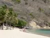 Plages de la Guadeloupe - Plage de Pompierre, dans l'archipel des Saintes, sur l'île de Terre-de-Haut : sable clair, cocotiers et eaux turquoises du lagon