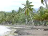 Plages de la Guadeloupe - Plage de Sainte-Claire, sur l'île de la Basse-Terre, dans la commune de Goyave : plage de sable gris parsemée de carbets et de cocotiers