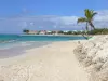 Plages de la Guadeloupe - Plage des Raisins Clairs, sur l'île de la Grande-Terre, dans la commune de Saint-François : vue sur la plage de sable et son lagon turquoise