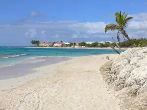 Plages de la Guadeloupe - Plage des Raisins Clairs, sur l'île de la Grande-Terre, dans la commune de Saint-François : vue sur la plage de sable et son lagon turquoise