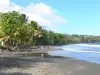 Plages de la Guadeloupe - Plage de Grande Anse, sur l'île de la Basse-Terre, dans la commune de Trois-Rivières : plage de sable noir bordée de cocotiers et vagues de la mer