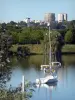 Plan d'eau de Vaires-sur-Marne - Bateaux sur le plan d'eau, rive, arbres au bord de l'eau et bâtiments en arrière-plan