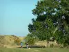 Plateau de Gergovie - Promeneurs se rendant au monument commémoratif, arbre dominant l'ensemble ; sur la commune de La Roche-Blanche