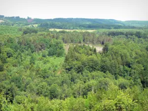 Plateau van Millevaches - Regionaal Natuurpark van Millevaches in Limousin bos Millevaches