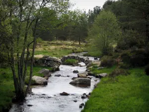 Plateau de Millevaches - Pont de Senoueix enjambant la rivière (le Taurion), rochers, herbage et arbres