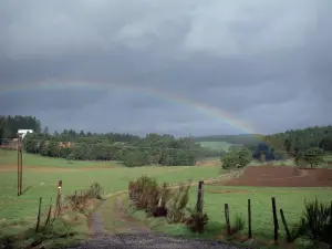 Plateau van Vivarais-Lignon - Pad omzoomd met weilanden met uitzicht op een regenboog die een bos overspant