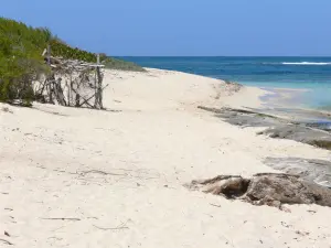 Playas de Guadalupe - Cove Beach de Gaza, en la isla de Marie- Galante : arena blanca y una laguna turquesa