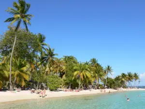 Playas de Guadalupe - Caravelle Beach en la isla de Grande- Terre, en la localidad de Sainte -Anne : relax en la playa de arena bordeada de cocoteros y nadar en la laguna de color turquesa