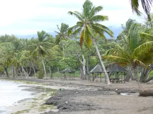 Playas de Guadalupe - Playa de St. Clair en la isla de Basse - Terre, en la comuna de guayaba gris playa de arena salpicada de cocoteros y carbets