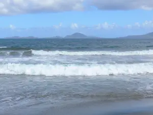 Playas de Guadalupe - Grande Anse Beach, en la isla de Basse - Terre, en la ciudad de Trois - Rivieres : Vista de las Escrituras y las olas del mar de la playa de Grand Anse