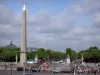 Plein van Concorde - Uitzicht op de Place de la Concorde en de obelisk