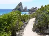 Pointe des Châteaux - Sentier bordé de végétation avec vue sur les rochers de la pointe des Châteaux et l'océan Atlantique