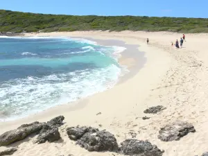 Pointe des Châteaux - Plage de l'anse des Châteaux