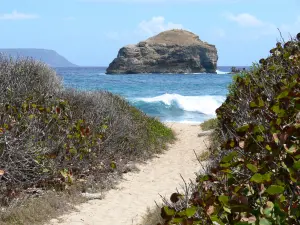 Pointe des Châteaux - Sentier bordé de végétation avec vue sur la Roche et l'océan Atlantique