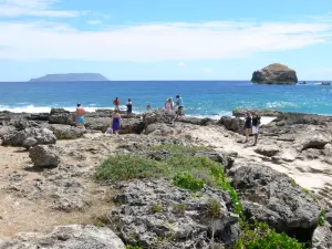 Pointe des Châteaux - Promeneurs parcourant le site sauvage de la pointe des Châteaux, océan Atlantique, la Roche, et île de la Désirade en arrière-plan