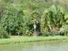 Pointe-Noire - Végétation tropicale et étang du parc aquacole