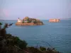 Pointe de Pen-al-Lann - Pointe de Pen-al-Lann et baie de Morlaix : mer (la Manche), petite île et château de l'île du Taureau au loin