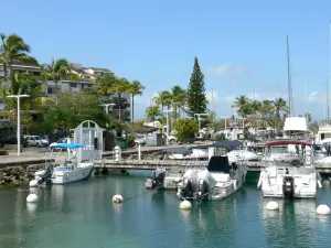 Pointe-à-Pitre - Marina Bas du Fort : Barcos del puerto deportivo y atracaron