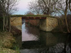 Poitou marshes - Canal lined with trees