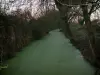 Poitou marshes - Canal with water plants, vegetation and trees