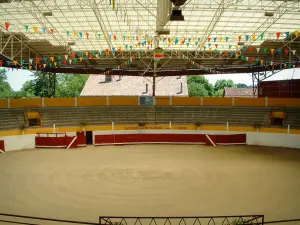 Pomarez - Vue intérieure des arènes de Pomarez