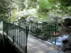 Le Pont d'Espagne - Pont d'Espagne: Site naturel du pont d'Espagne : petite passerelle enjambant le gave (cours d'eau), rochers et arbres ; dans le Parc National des Pyrénées, sur la commune de Cauterets