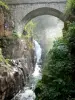Le Pont d'Espagne - Pont d'Espagne: Site naturel du pont d'Espagne : pont en pierre enjambant le gave (cours d'eau), roche et végétation ; dans le Parc National des Pyrénées, sur la commune de Cauterets