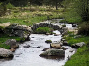 Pont de Senoueix - Kleine brug over de rivier (de Taurion), stenen, gras en struiken