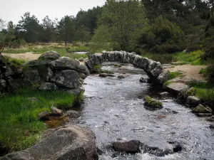 Ponte di Senoueix - Piccolo ponte sul fiume (il Taurion), rocce e alberi