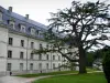 Pontlevoy - Ancienne abbaye bénédictine : bâtiment conventuel, arbre et allée bordée de pelouses