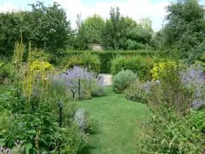 Pontoise - Park of the Pissarro museum: garden of the five senses with its aromatic and medicinal plants