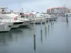 Port-Barcarès - Boote des Jachthafens und Apartmentgebäude des Badeortes