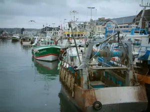 Port-en-Bessin - Boten en trawlers die de haven, zee vogel in vlucht en stormachtige hemel