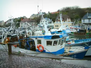 Port-en-Bessin - Dock, trawlers (boten) vissershaven en huizen