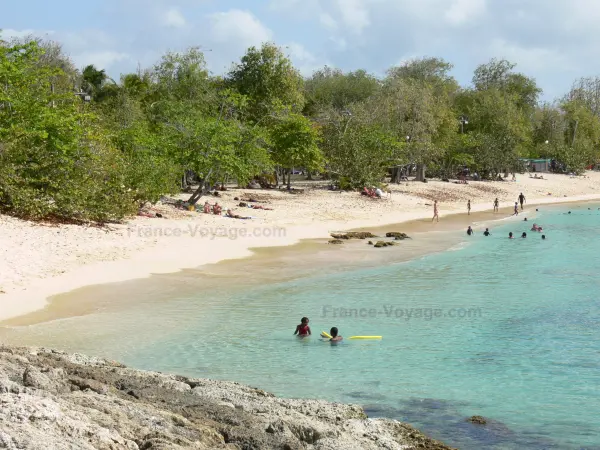 Port-Louis - Blower Cove en la isla de Grande - Terre : playa de arena Blower, bañistas en el mar y los árboles