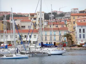 Port-Vendres - Côte Vermeille : voiliers du port de plaisance et façades de la ville