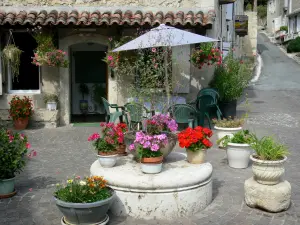 Poudenas - Pots de fleurs devant une maison du village