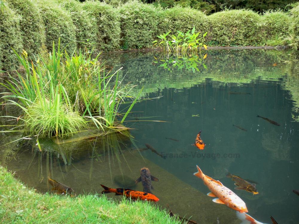 Photos Prafrance bamboo garden Tourism & Holiday Guide