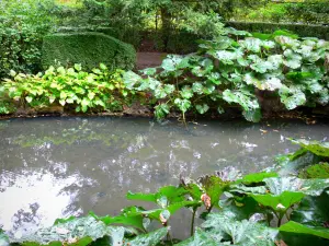 Pré Catelan garden - River lined with plants, in Illiers-Combray