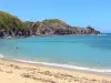 Presqu'île de la Caravelle - Anse Pond: white sand beach and turquoise waters of the Atlantic Ocean