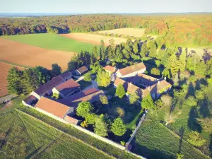 Prieuré de Vausse - Prieuré et ses abords verdoyants vus du ciel ; sur la commune de Châtel-Gérard