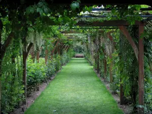 Priorato de Saint-Cosme - Pérgola