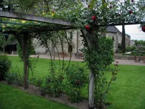 Priorato de Saint-Cosme - Rosales trepadores (rosas) Jardín