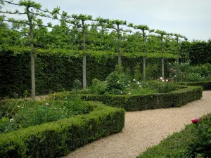 Priorato de Saint-Cosme - Los árboles y las flores de jardín