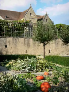 Priorij van Souvigny - Priory kerk van St. Peter en St. Paul, en pompoenen in de tuin van de priorij