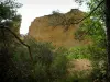 Provençal colorado - Trees and rock (former ochre careers of Rustrel)