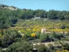 Provence landscapes - Building, trees and vegetation