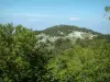 Provence landscapes - Trees and hill